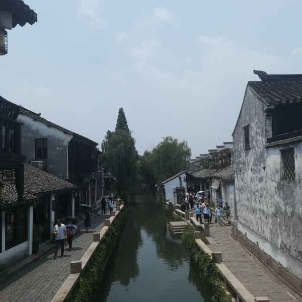 春雨直播app